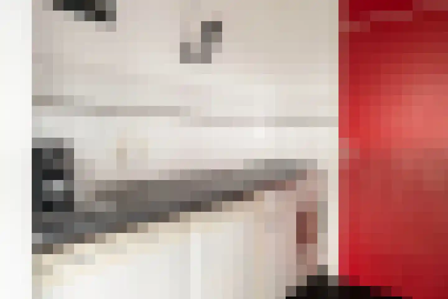 Cargadoorskade 81 Rotterdam thumbnail 12