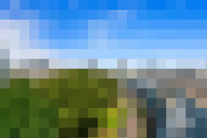 Cargadoorskade 84 Rotterdam thumbnail 11