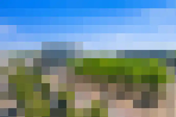 Cargadoorskade 84 Rotterdam thumbnail 16