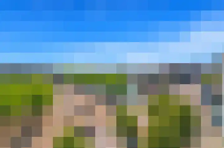 Cargadoorskade 84 Rotterdam thumbnail 17