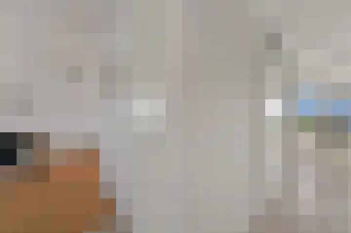 Cargadoorskade 84 Rotterdam thumbnail 18