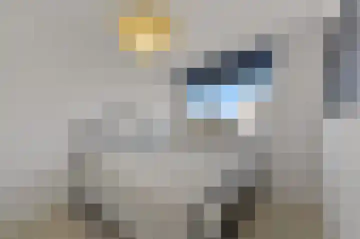 Cargadoorskade 84 Rotterdam thumbnail 23