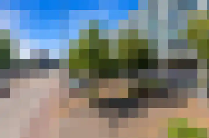 Cargadoorskade 84 Rotterdam thumbnail 7