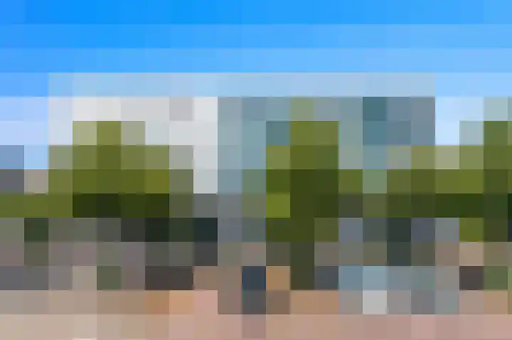 Cargadoorskade 84 Rotterdam thumbnail 8
