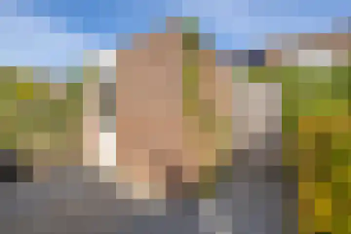 Carillon 2 Middelburg thumbnail 19