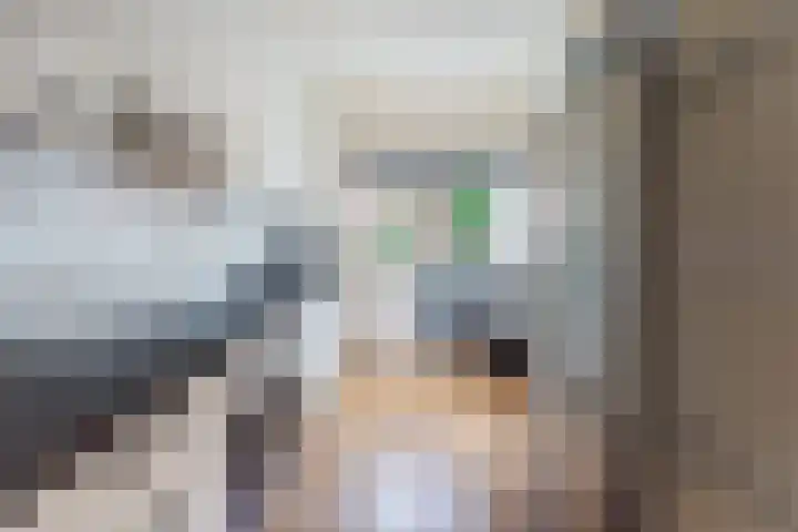 Carillon 4 Middelburg thumbnail 10