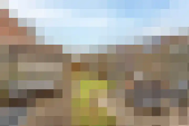 Carillon 4 Middelburg thumbnail 13