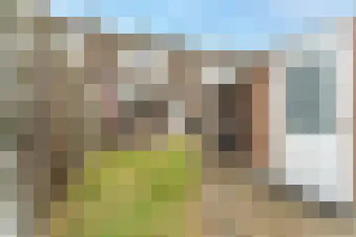 Carillon 4 Middelburg thumbnail 14