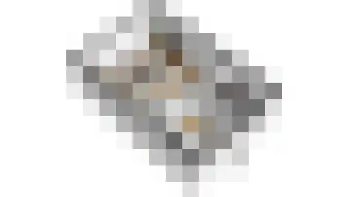 Carillon 4 Middelburg thumbnail 4