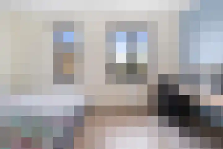 Carillonhof 18 Etten-Leur thumbnail 16