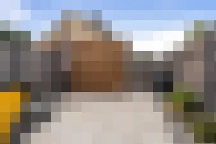 Carillonhof 18 Etten-Leur thumbnail 28