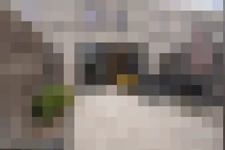 Carillonhof 18 Etten-Leur thumbnail 30
