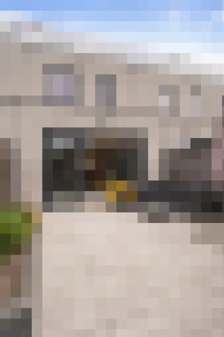 Carillonhof 18 Etten-Leur thumbnail 31