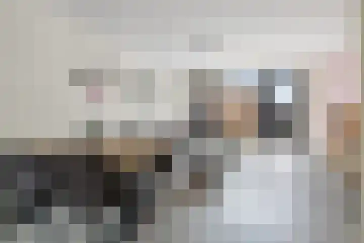 Carillonhof 18 Etten-Leur thumbnail 5