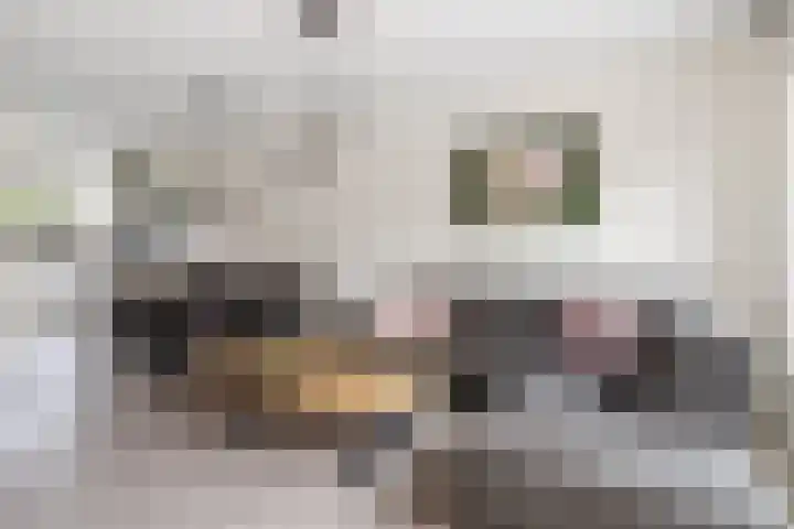 Carillonhof 18 Etten-Leur thumbnail 6