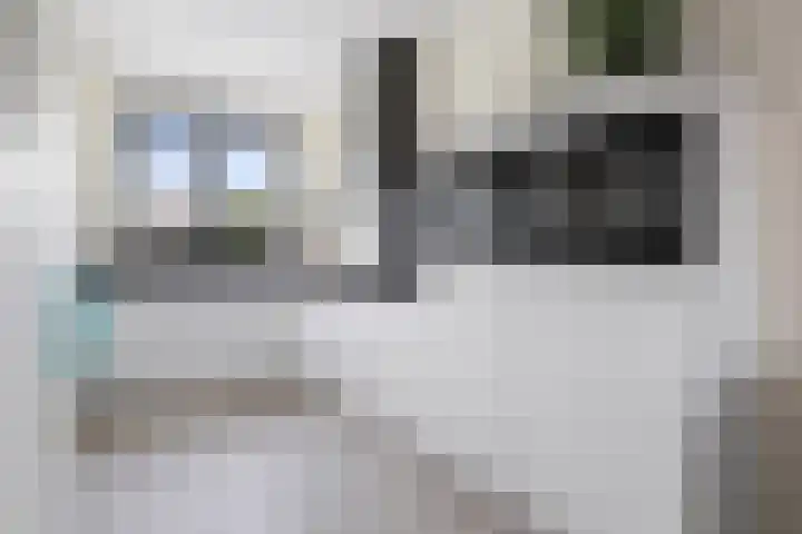 Carillonhof 18 Etten-Leur thumbnail 8
