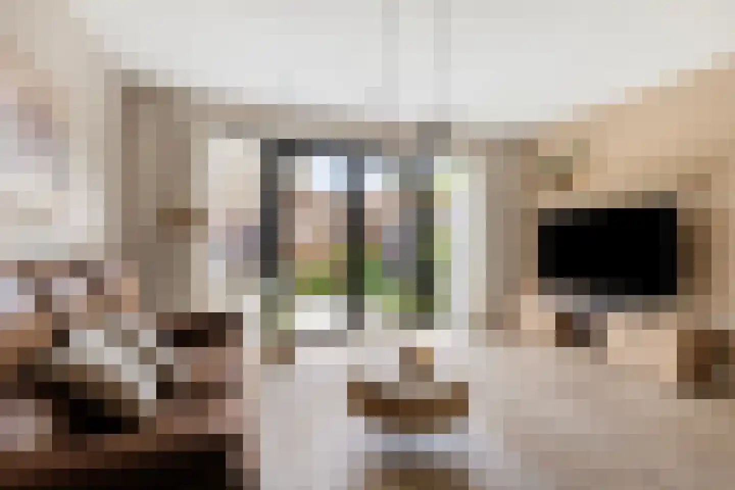 Carillonhof 20 Etten-Leur thumbnail 12
