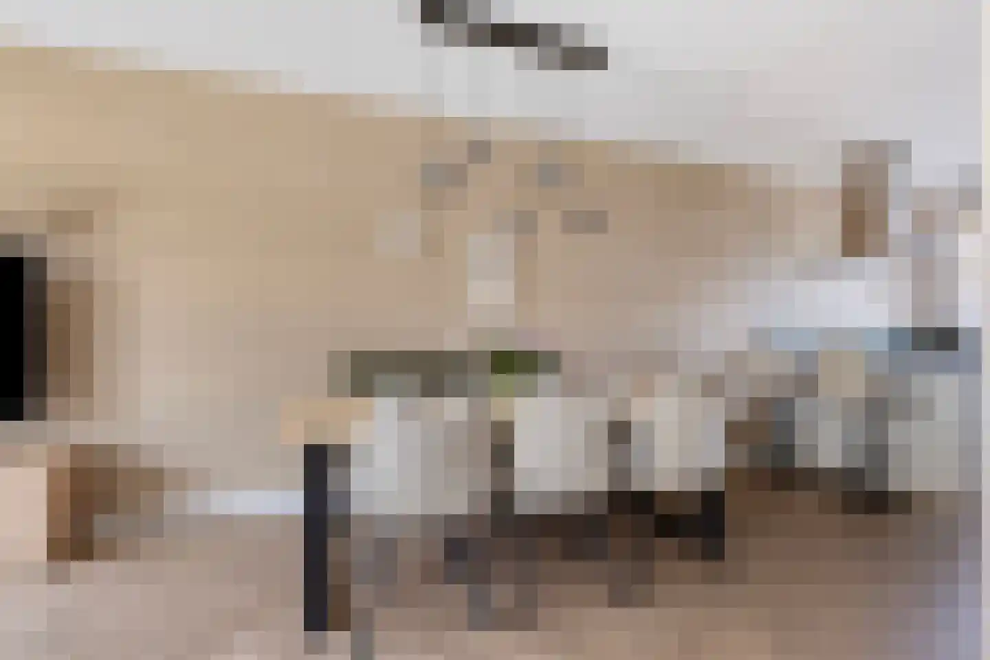 Carillonhof 20 Etten-Leur thumbnail 15