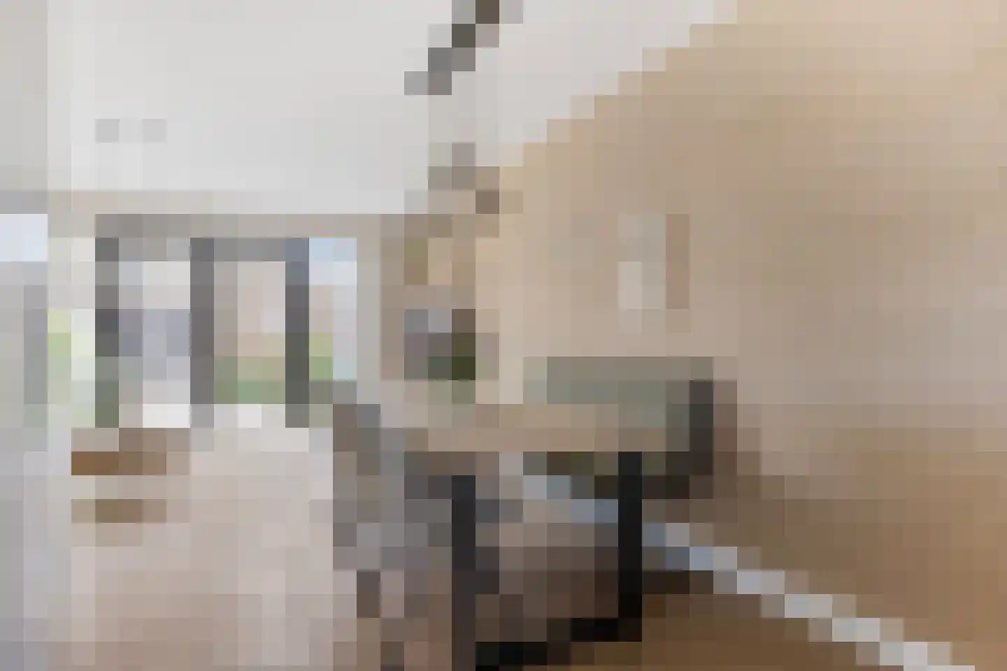 Carillonhof 20 Etten-Leur thumbnail 16