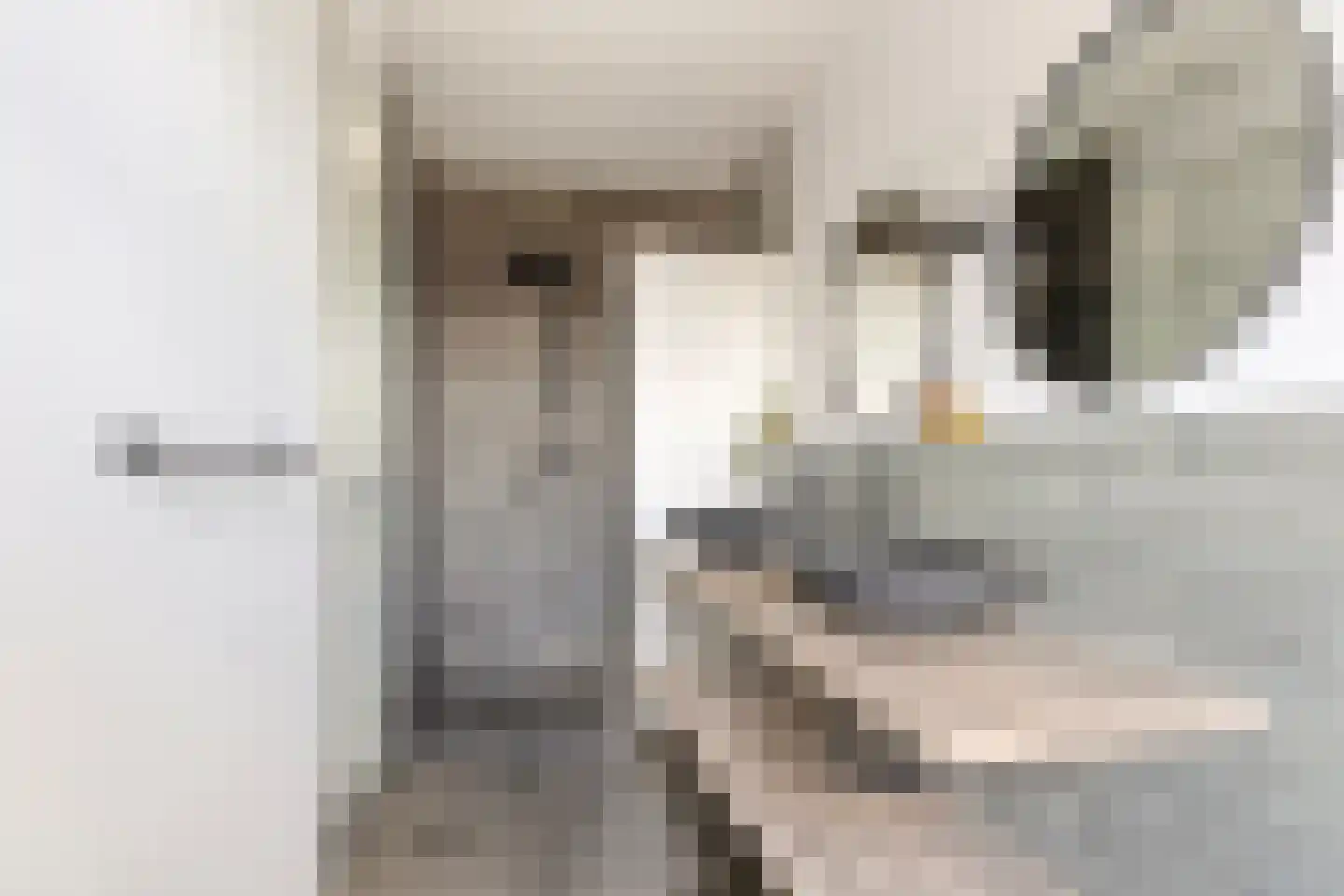 Carillonhof 20 Etten-Leur thumbnail 32