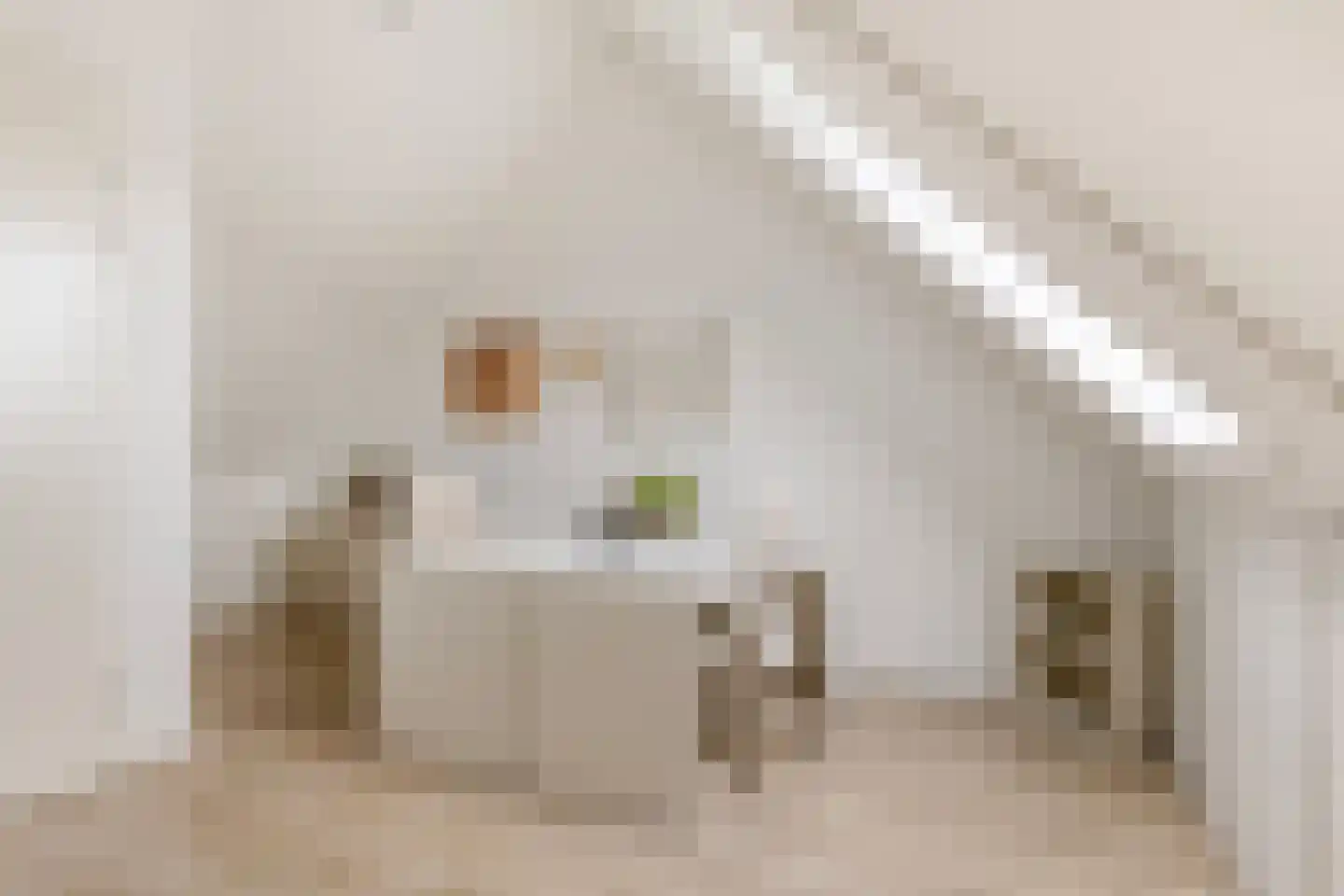 Carillonhof 20 Etten-Leur thumbnail 36