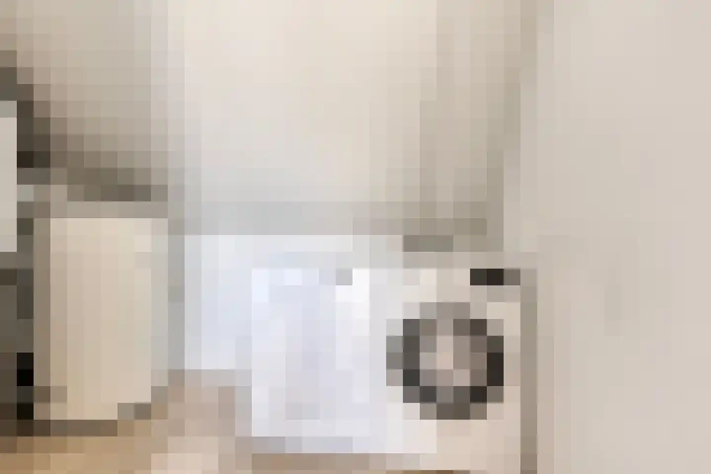 Carillonhof 20 Etten-Leur thumbnail 38