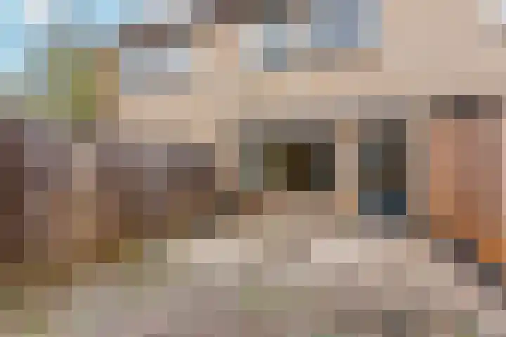 Carillonlaan 62 Nieuwegein thumbnail 32
