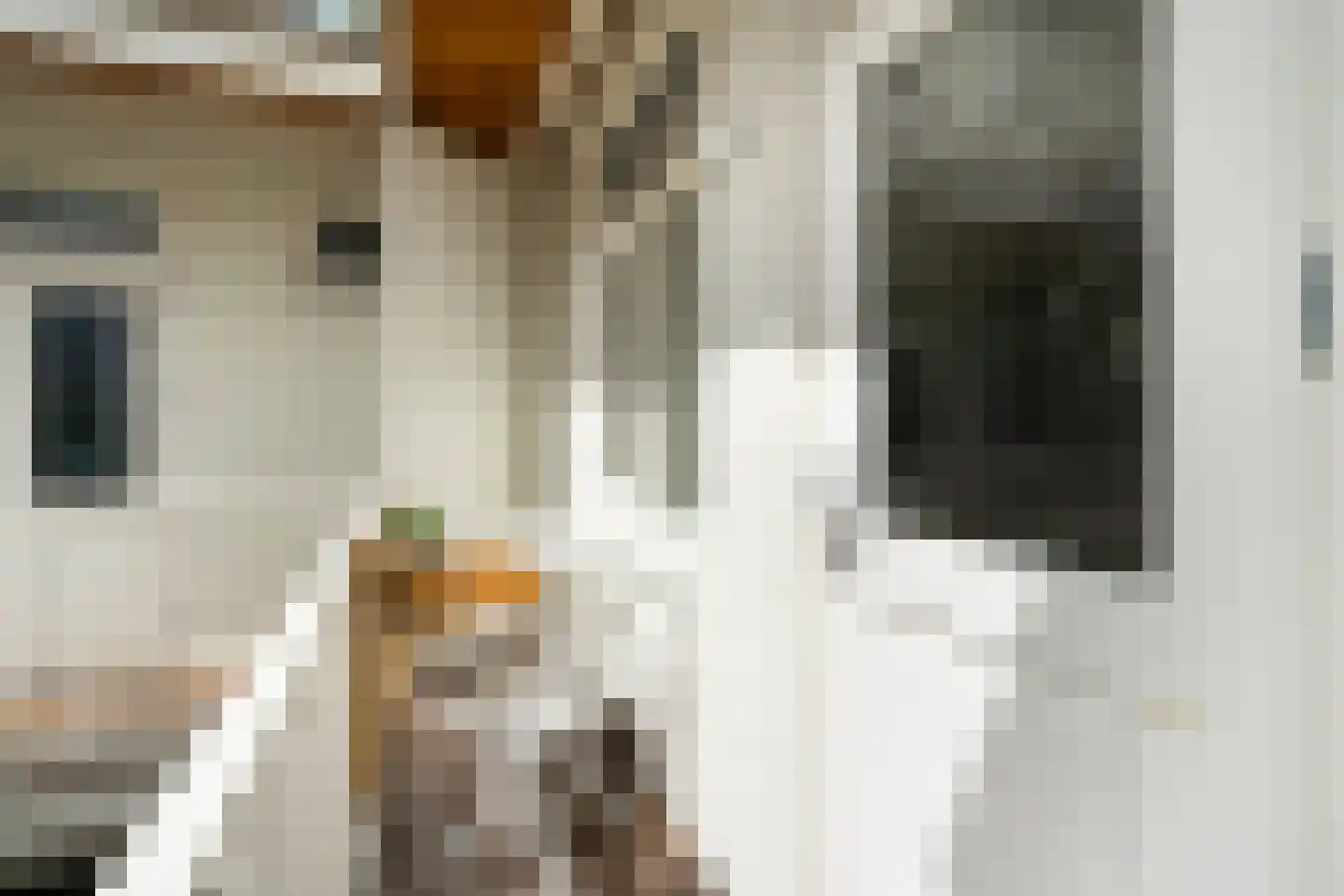 Carillonstraat 2 1 Amsterdam thumbnail 13
