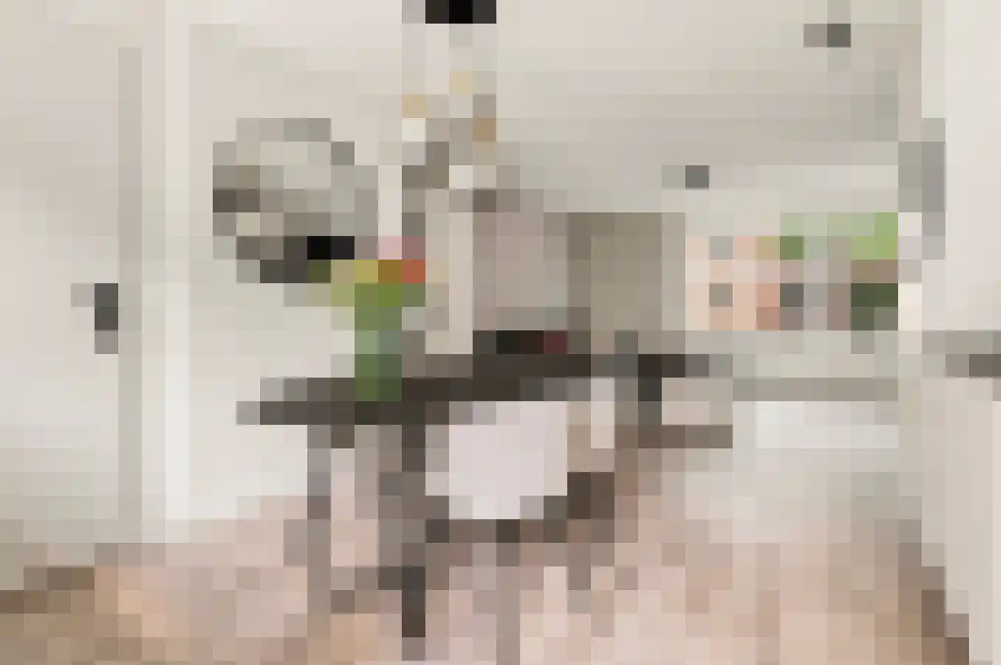 Carillonstraat 2 1 Amsterdam thumbnail 5