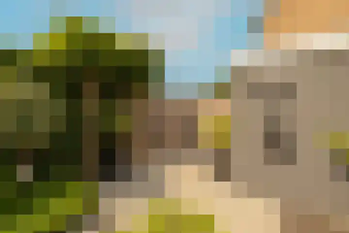Carillonstraat 2 Schoonhoven thumbnail 62