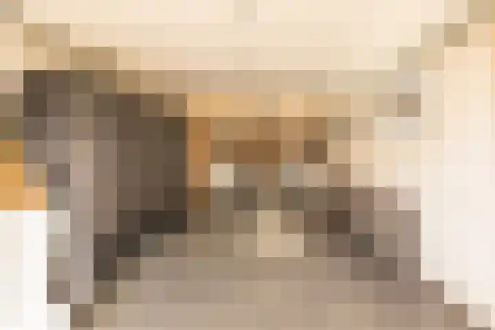 Carillonstraat 2 Schoonhoven thumbnail 69
