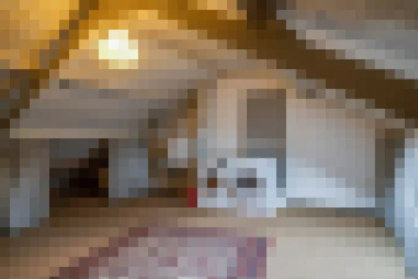 Carillonstraat 30 Helmond thumbnail 31