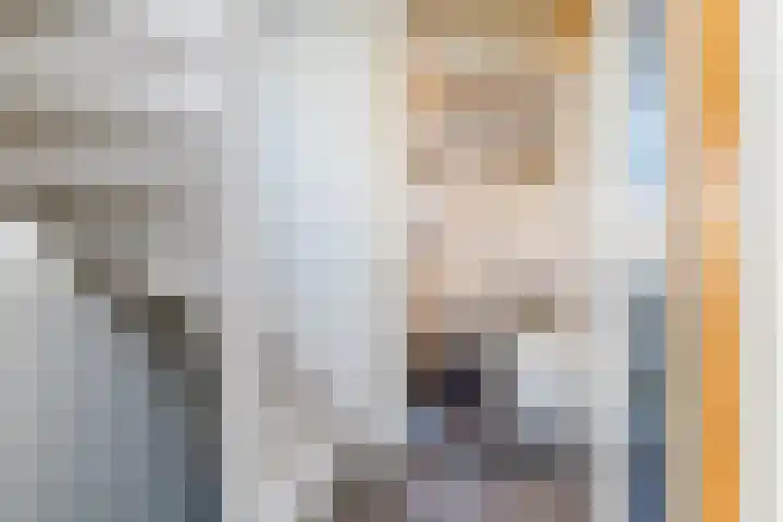Carisven 13 Heerlen thumbnail 20