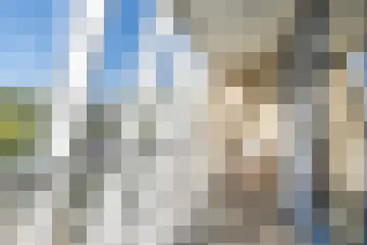 Carisven 13 Heerlen thumbnail 23