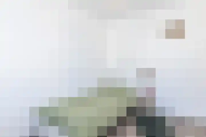 Carisven 13 Heerlen thumbnail 24
