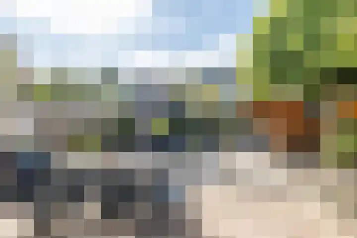 Carisven 13 Heerlen thumbnail 33