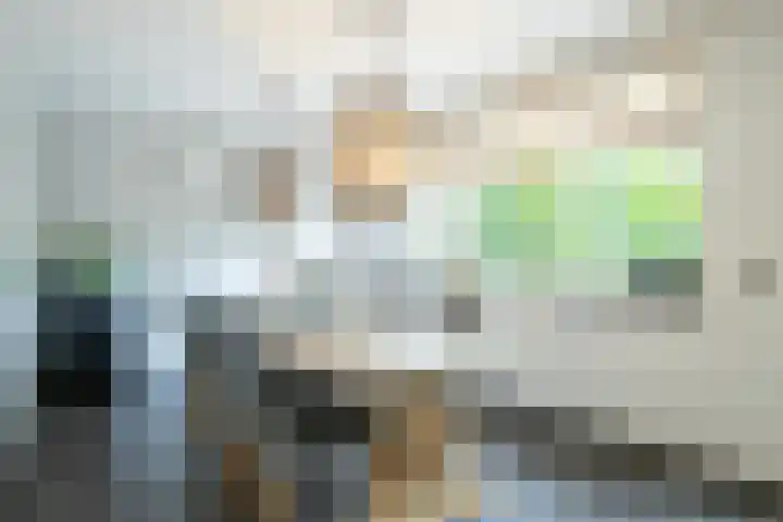 Carisven 47 Heerlen thumbnail 10