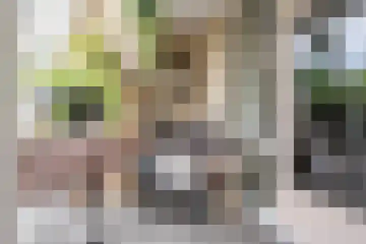 Carisven 47 Heerlen thumbnail 24