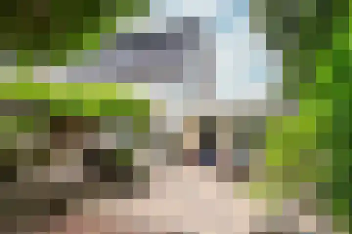 Carisven 47 Heerlen thumbnail 25