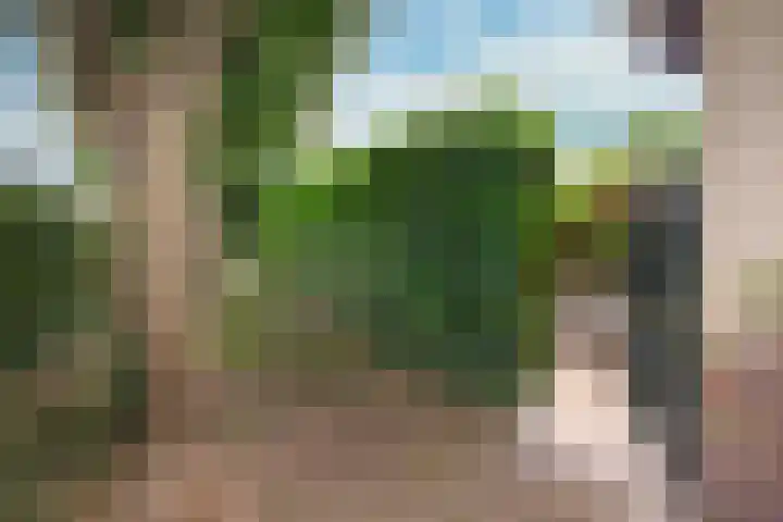 Carisven 47 Heerlen thumbnail 30