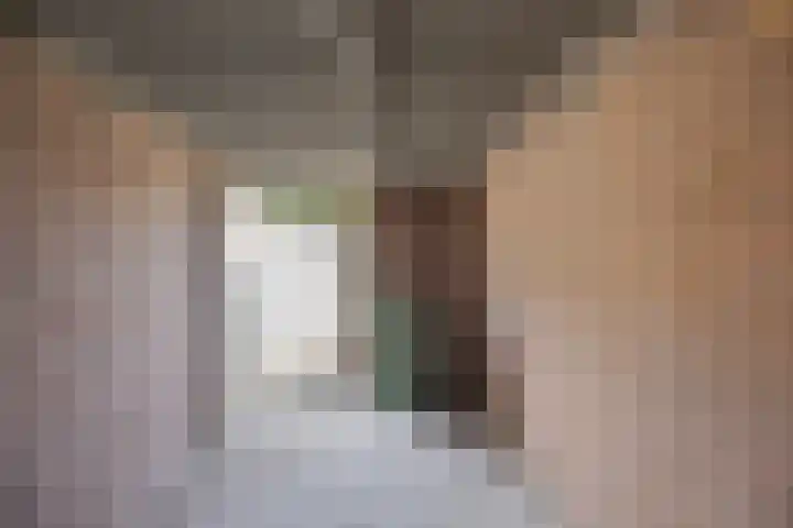 Carl Maria von Weberstraat 9 Waalwijk thumbnail 26