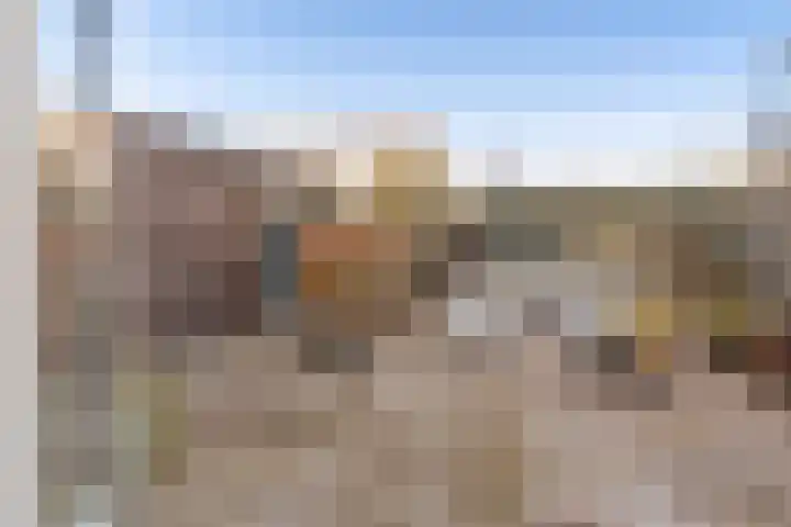 Carl Zellerhof 2 Utrecht thumbnail 14