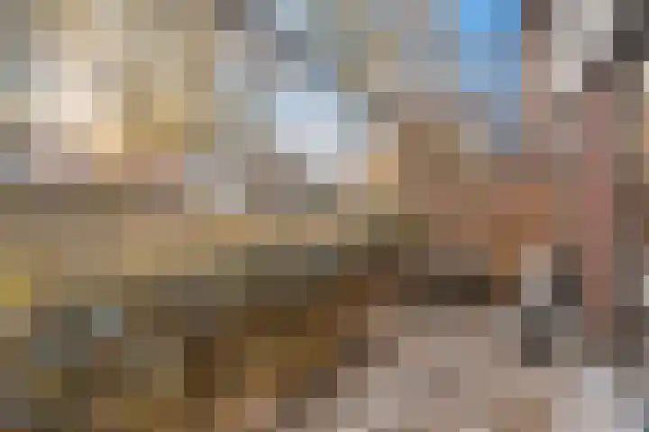 Carl Zellerhof 2 Utrecht thumbnail 15