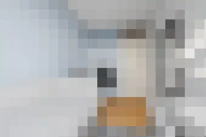 Carl Zellerhof 2 Utrecht thumbnail 18