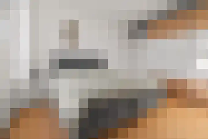 Carl Zellerhof 2 Utrecht thumbnail 19