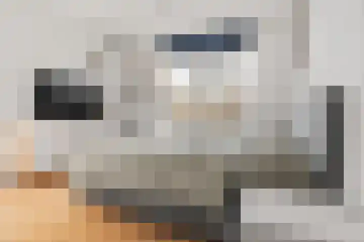 Carl Zellerhof 2 Utrecht thumbnail 20