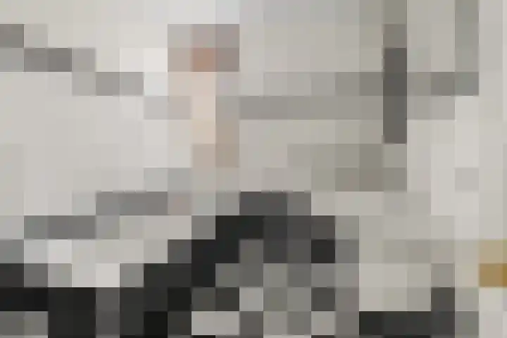 Carl Zellerhof 2 Utrecht thumbnail 23