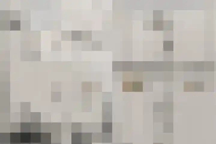 Carl Zellerhof 2 Utrecht thumbnail 25