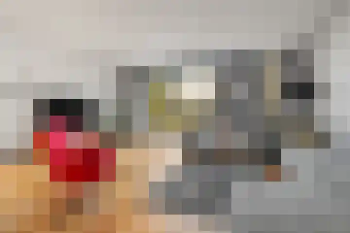 Carl Zellerhof 2 Utrecht thumbnail 8