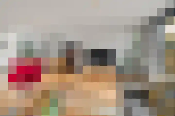 Carl Zellerhof 2 Utrecht thumbnail 9